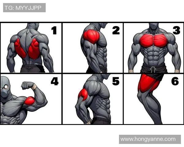 如何利用一个哑铃进行全身锻炼提升力量与肌肉线条的有效方法