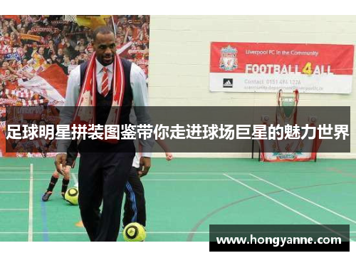 足球明星拼装图鉴带你走进球场巨星的魅力世界